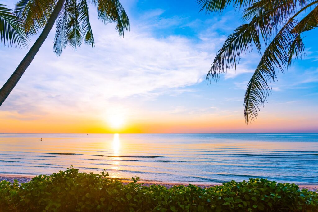 Beautiful beach sunset with palm trees symbolising work-life balance achieved through outsourcing bookkeeping services.
